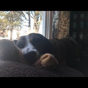 Meet your Posher, Ashley